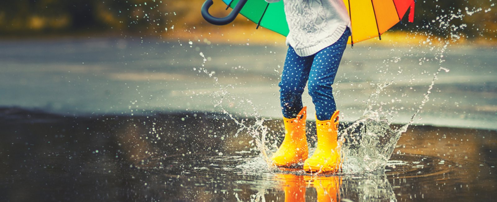 Que faire en cas de pluie en Méditerranée Porte des Maures