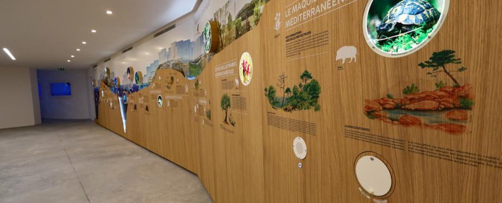 salle d'exposition