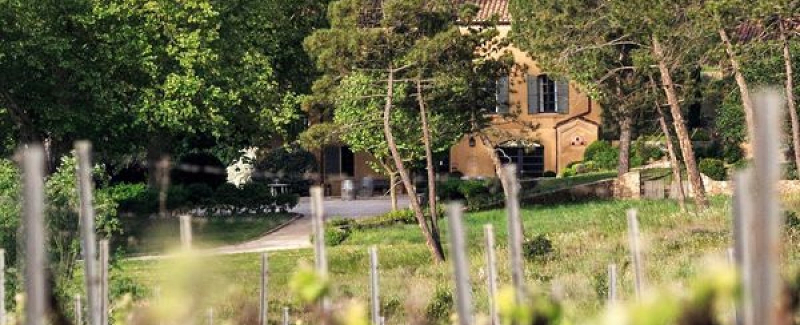 vue depuis les vignes