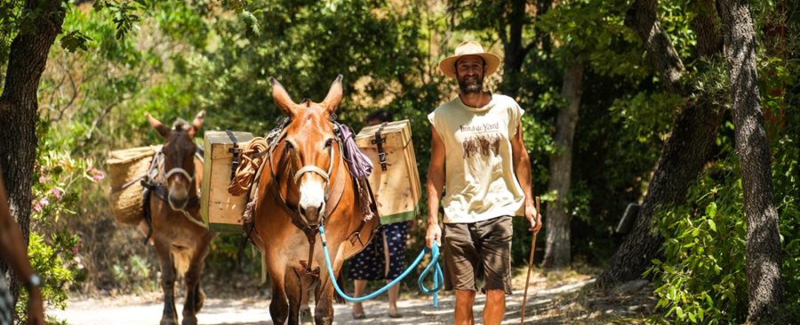 Randonnée à la journée avec mules et muletiers - Les Muletiers Bigatier à Cuers