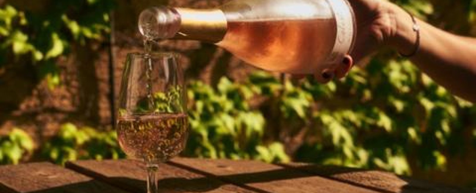 Dégustation au Domaine de la Portanière