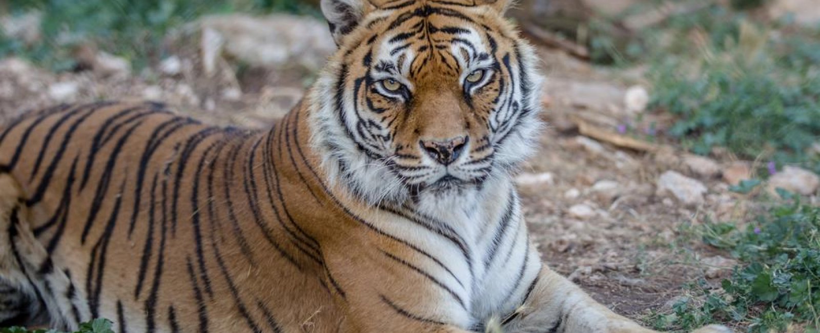 Amusez-vous en Méditerranée Porte des Maures Amusez-vous en Méditerranée Porte des Maures