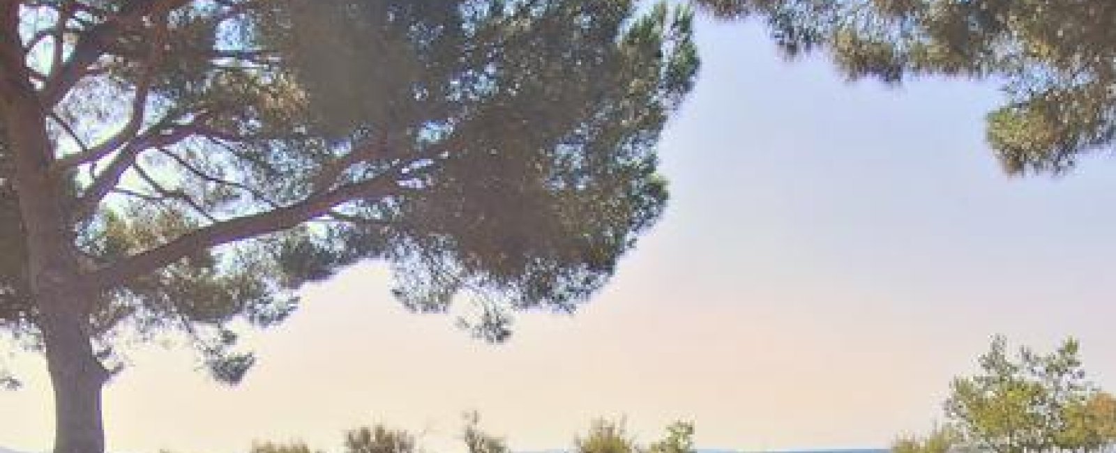 Séance de Yoga avec Yoga Bulle