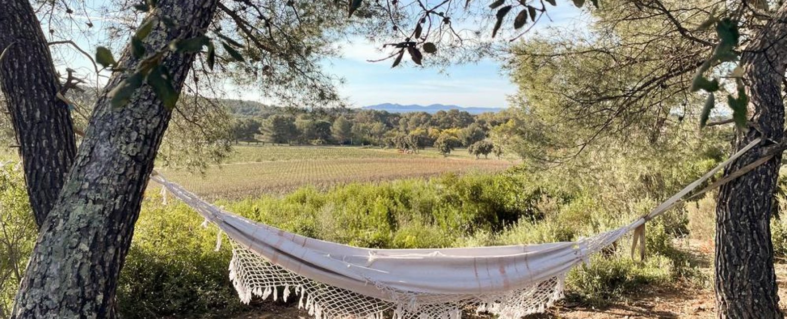 Sieste bercée dans un hamac à Figuière à La Londe-les-Maures