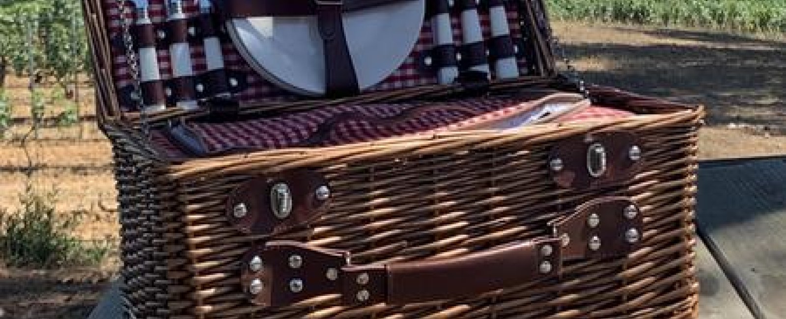 Pique nique dans les vignes à Figuière à La Londe-les-Maures