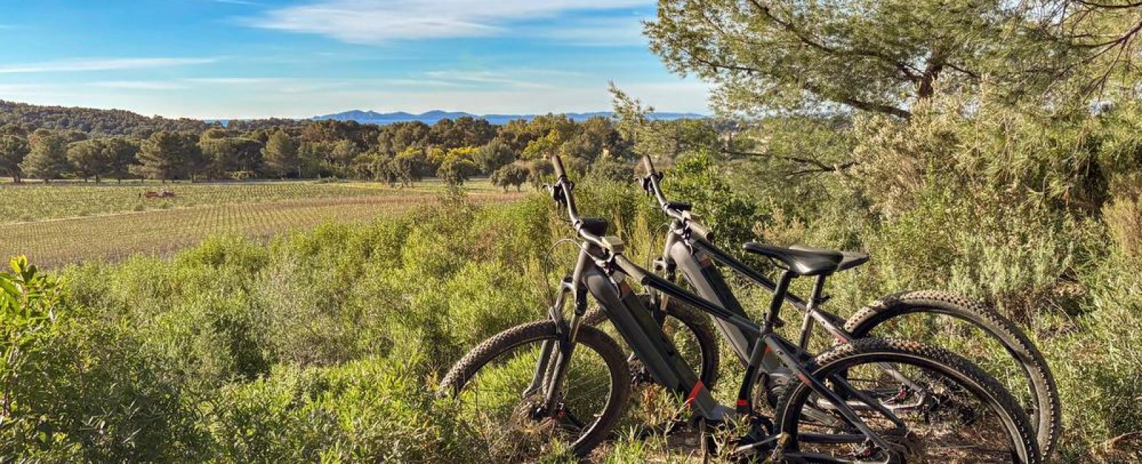 Balade à VTTAE dans les vignes à Figuière à La Londe-les-Maures