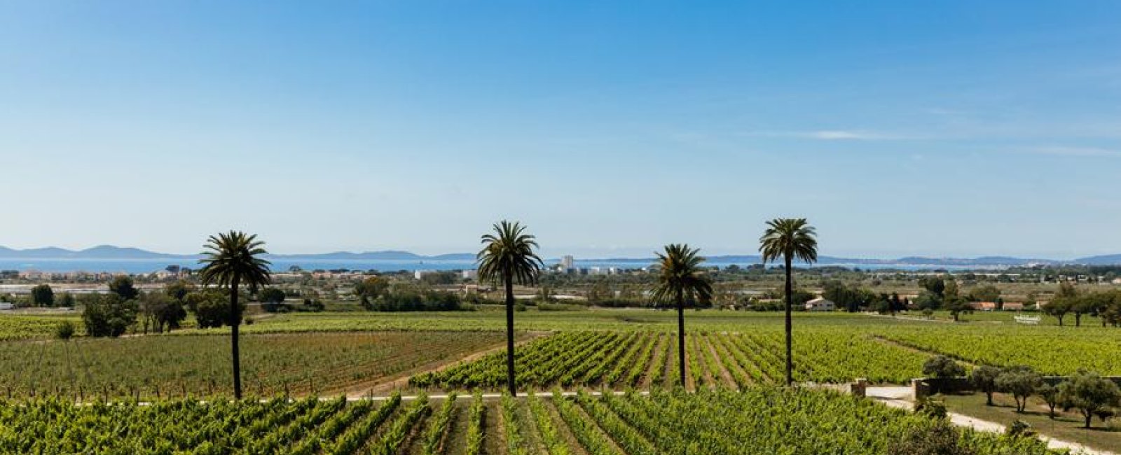Parcours d'initiation au Château Galoupet à la Londe les Maures
