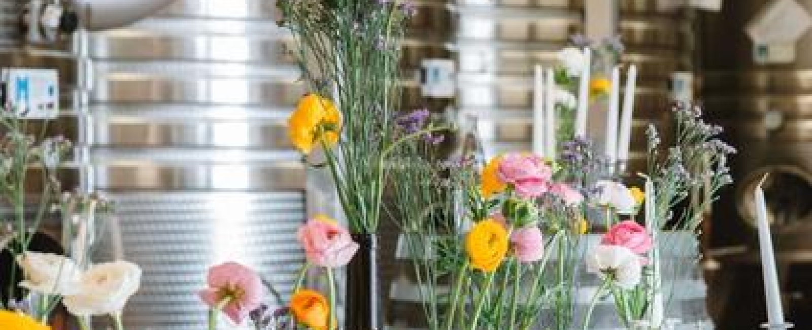 Visite de chai au Château Valetanne