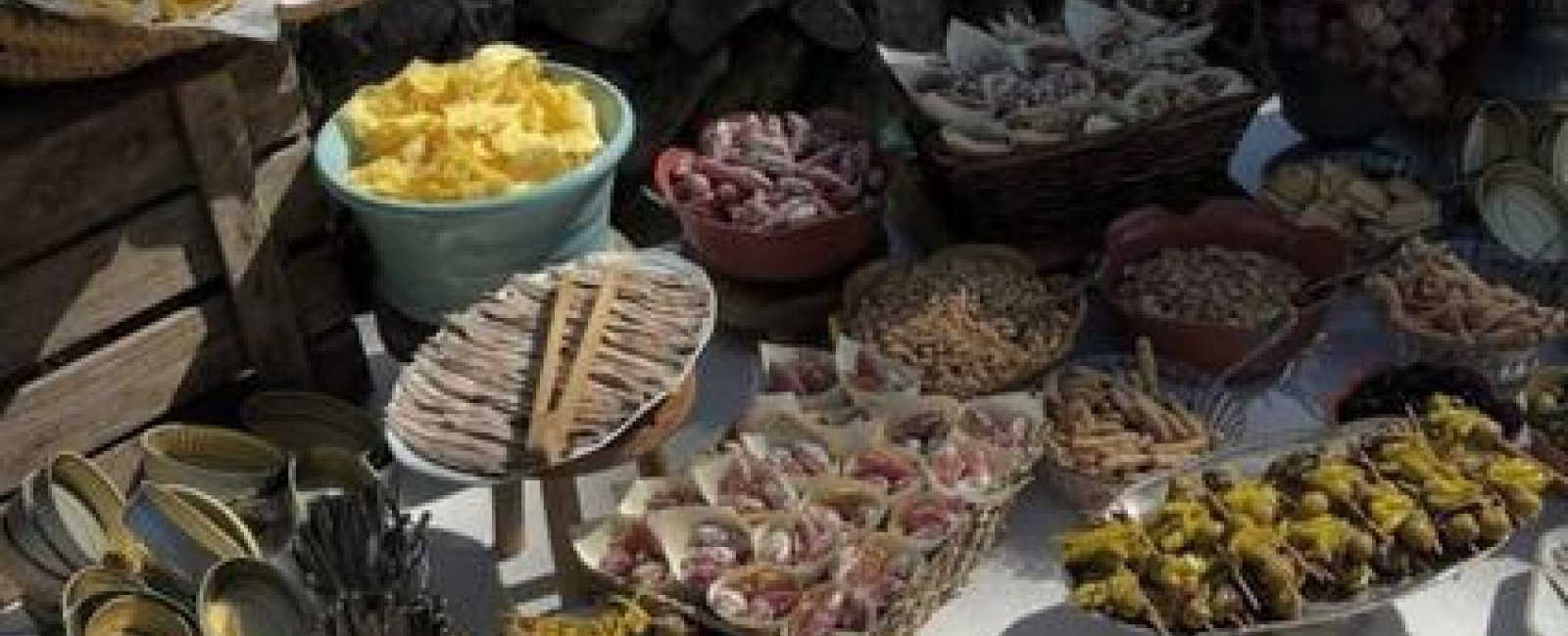 Visite des vignes et banquet dans les oliviers au Château la Valetanne