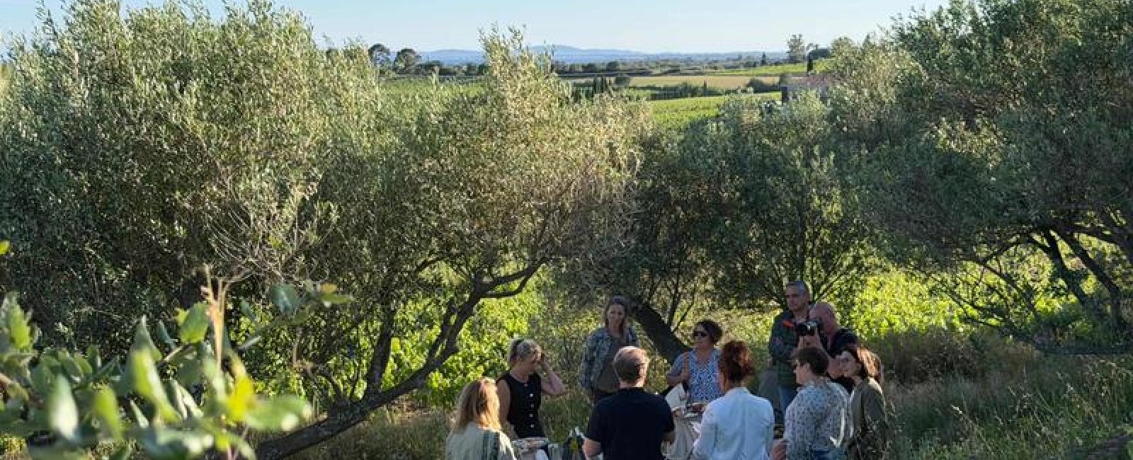 Visite des vignes et banquet apéritif dans les oliviers au Château La Valetanne à La Londe les Maures Visite des vignes et banquet apéritif dans les oliviers au Château La Valetanne à La Londe les Maures