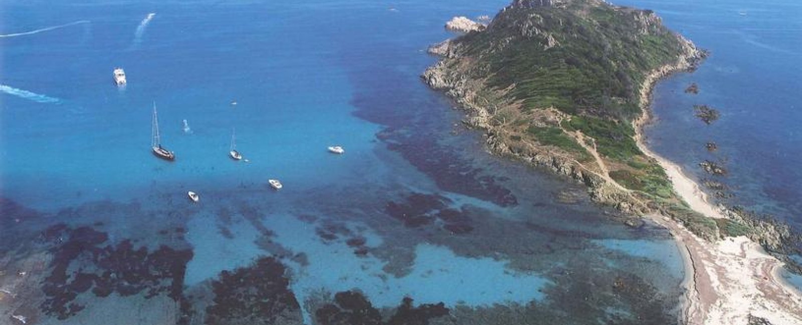 Boat trip to the wild capes - Vedettes Îles d'Or et Le Corsaire_Le Lavandou