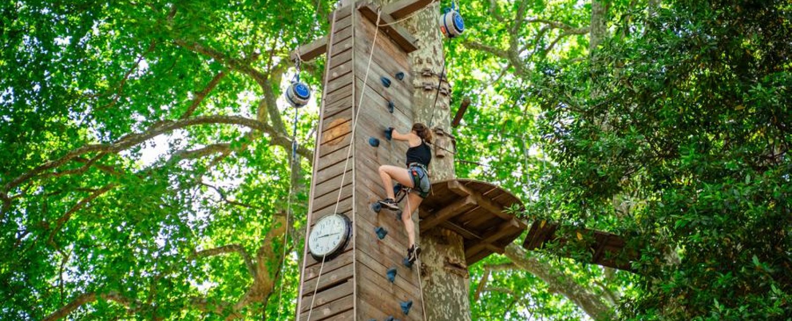 Tree climbing routes with Ecopark Adventures_Solliès-Ville
