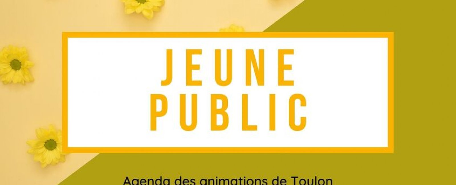 Picto Jeune Public