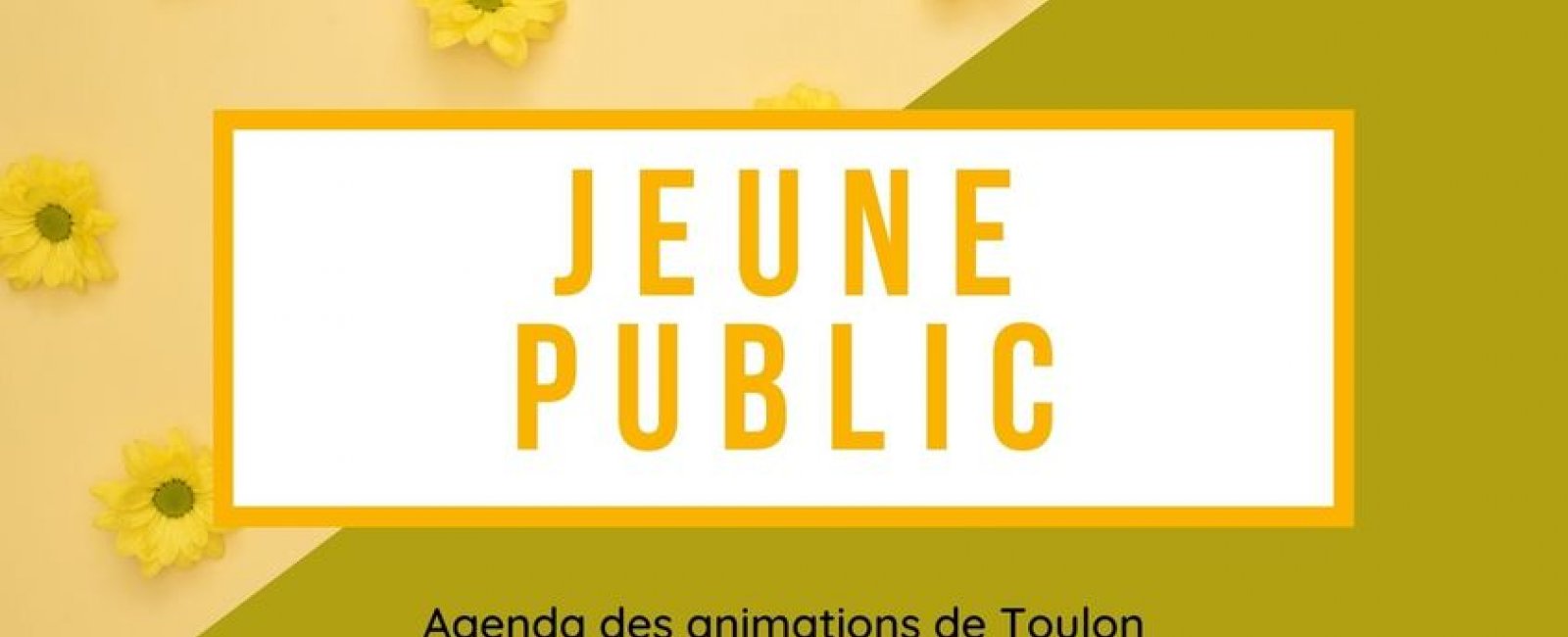 Picto Jeune Public