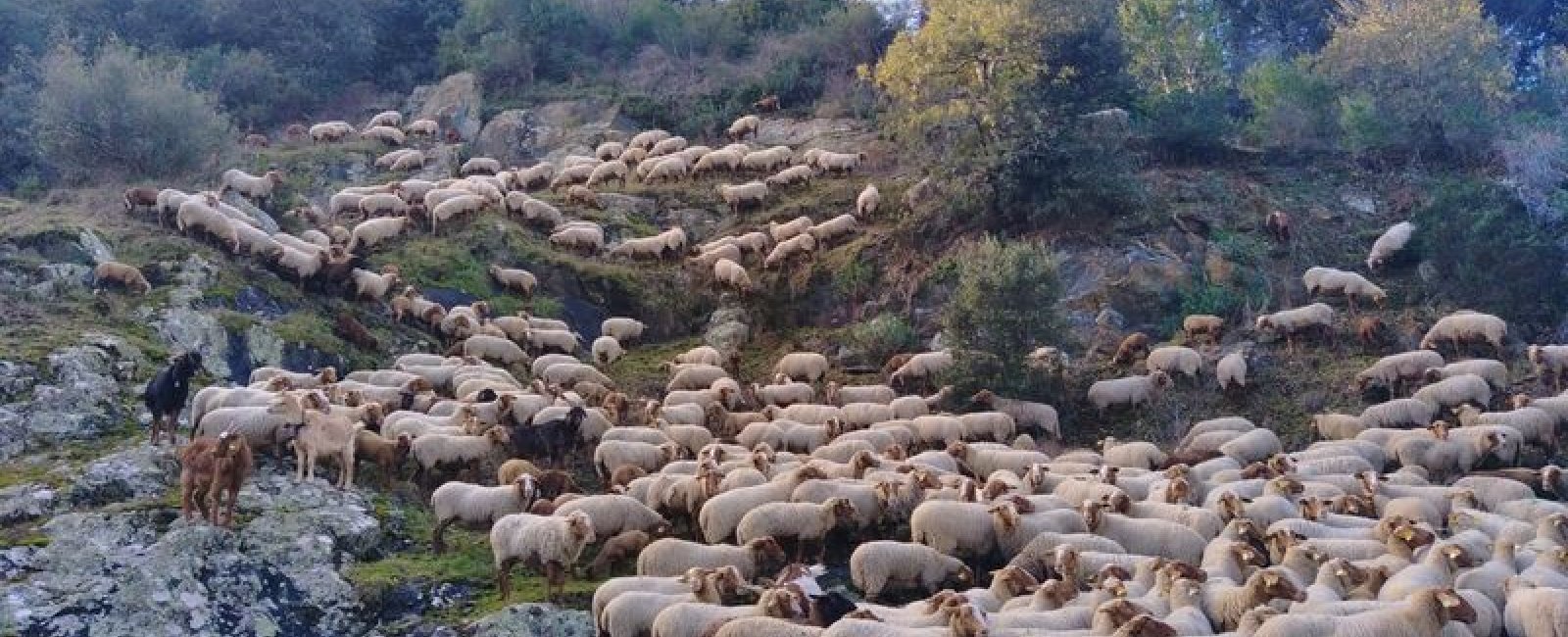 Ferme du lambert