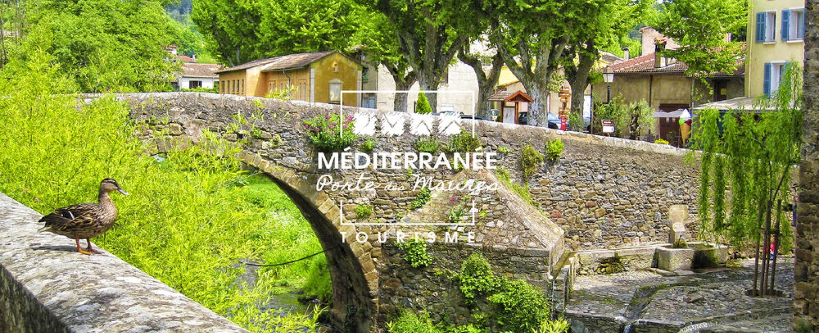 Le Sport en Méditerranée Porte des Maures - équitation