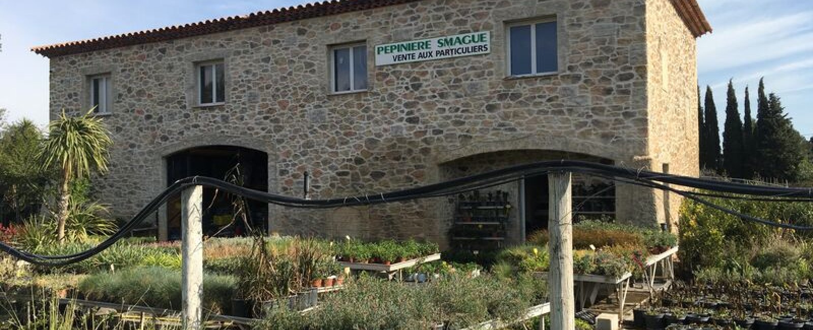 Pépiniériste, jardinerie à Cuers