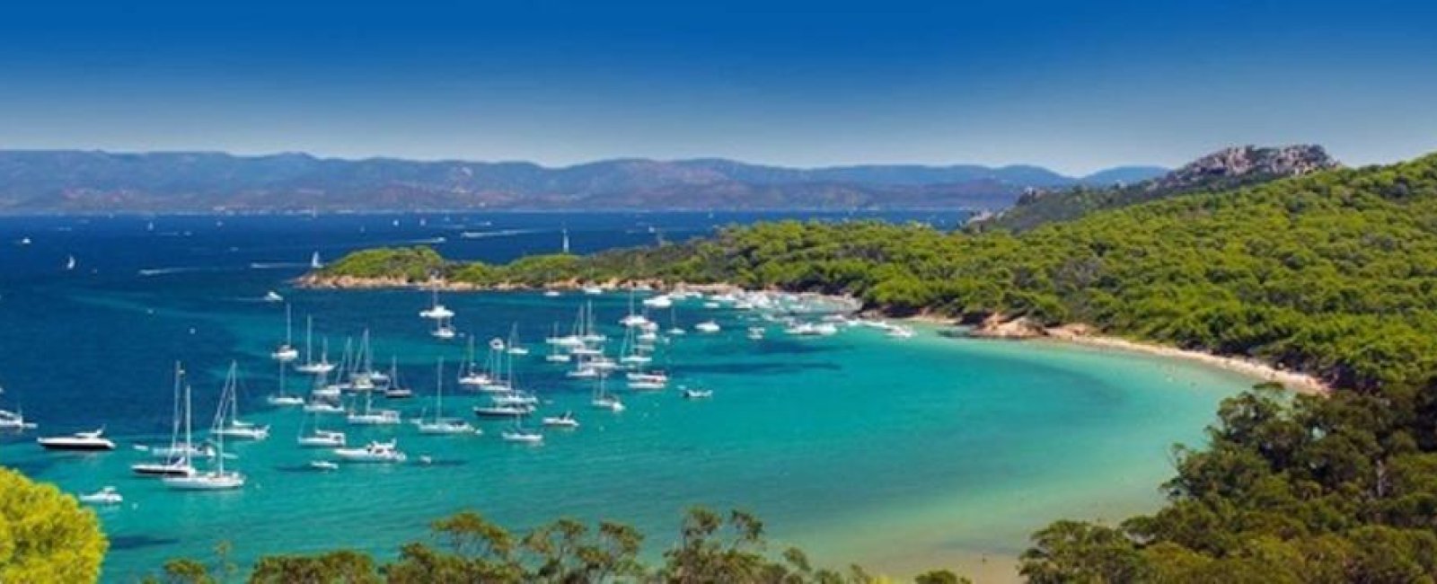 La conciergerie des Palmiers à La Londe les Maures
