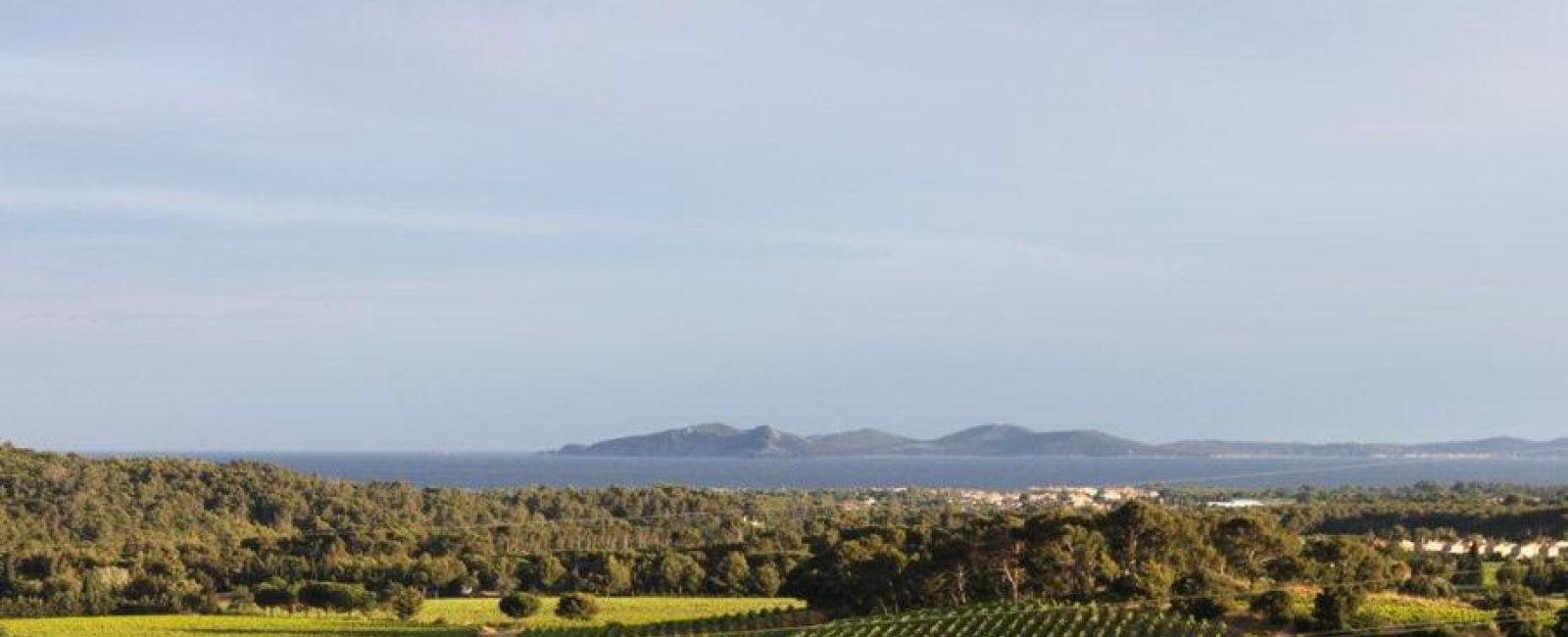 Century 21 - Agentur Bordenave_La Londe-les-Maures