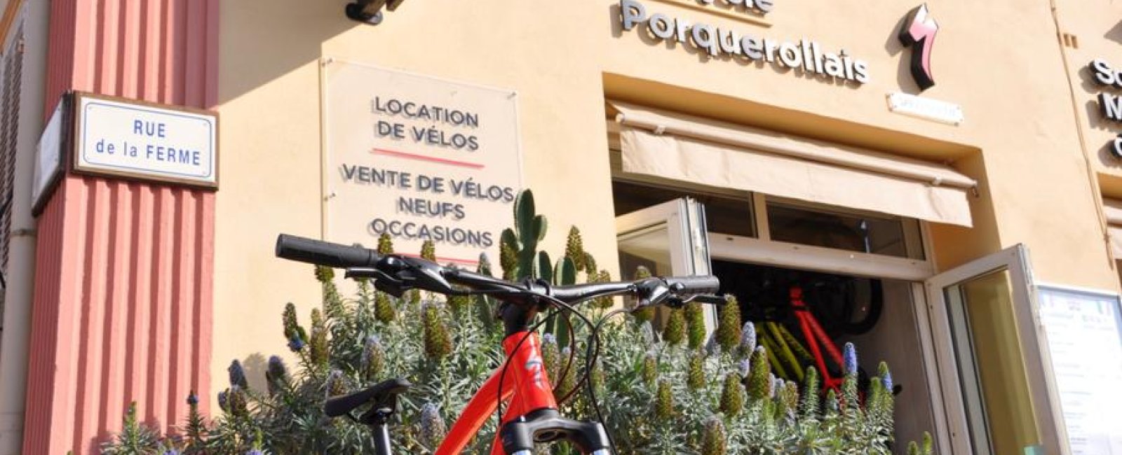 Le Cycle porquerollais_Hyères