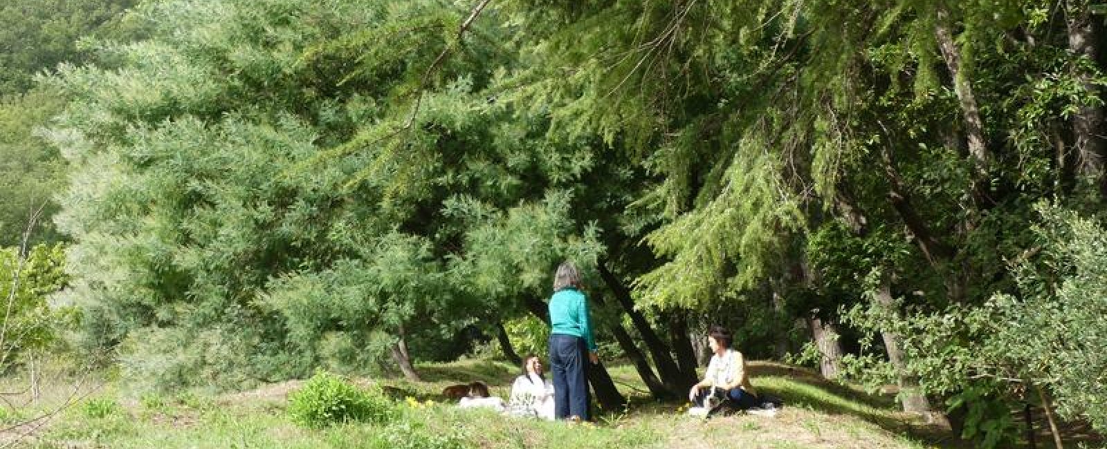 Séance en plein air avec Marie-Ange Aubert