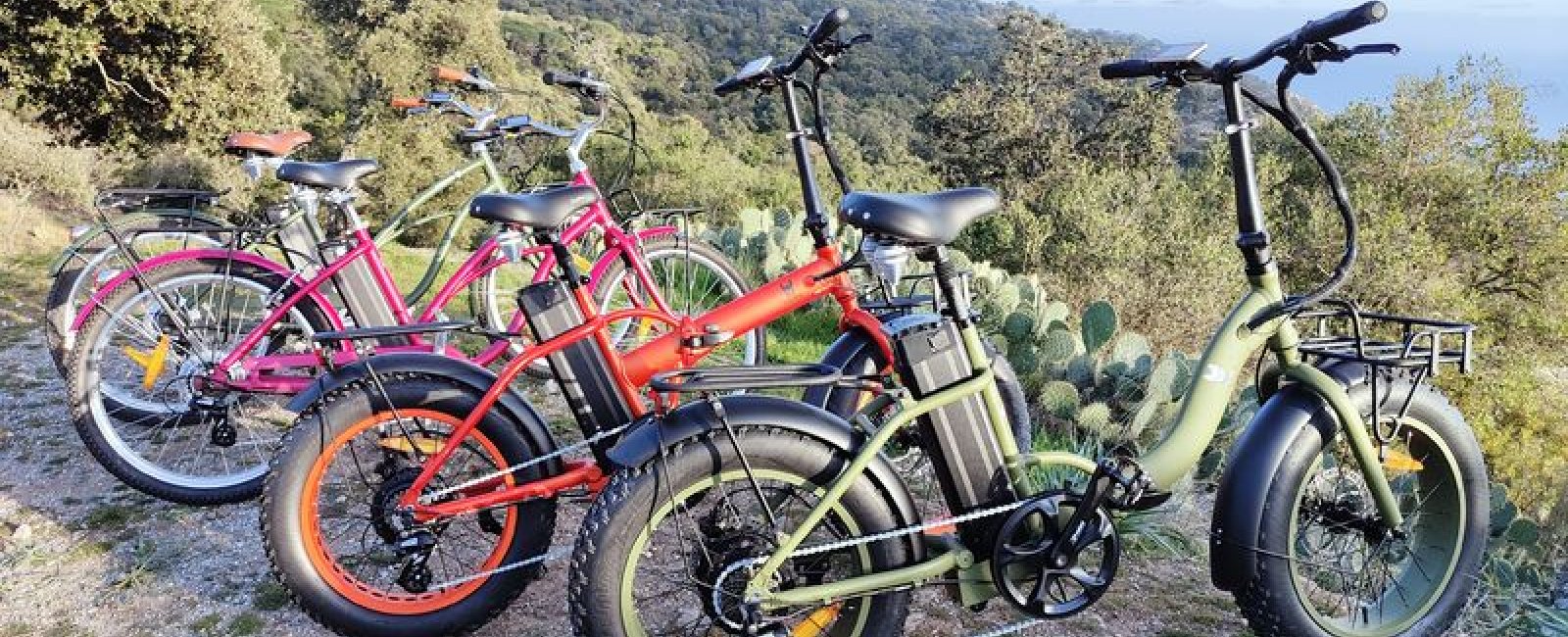 Vélos crêtes