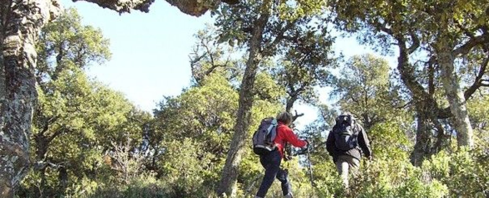 Sentier de découverte