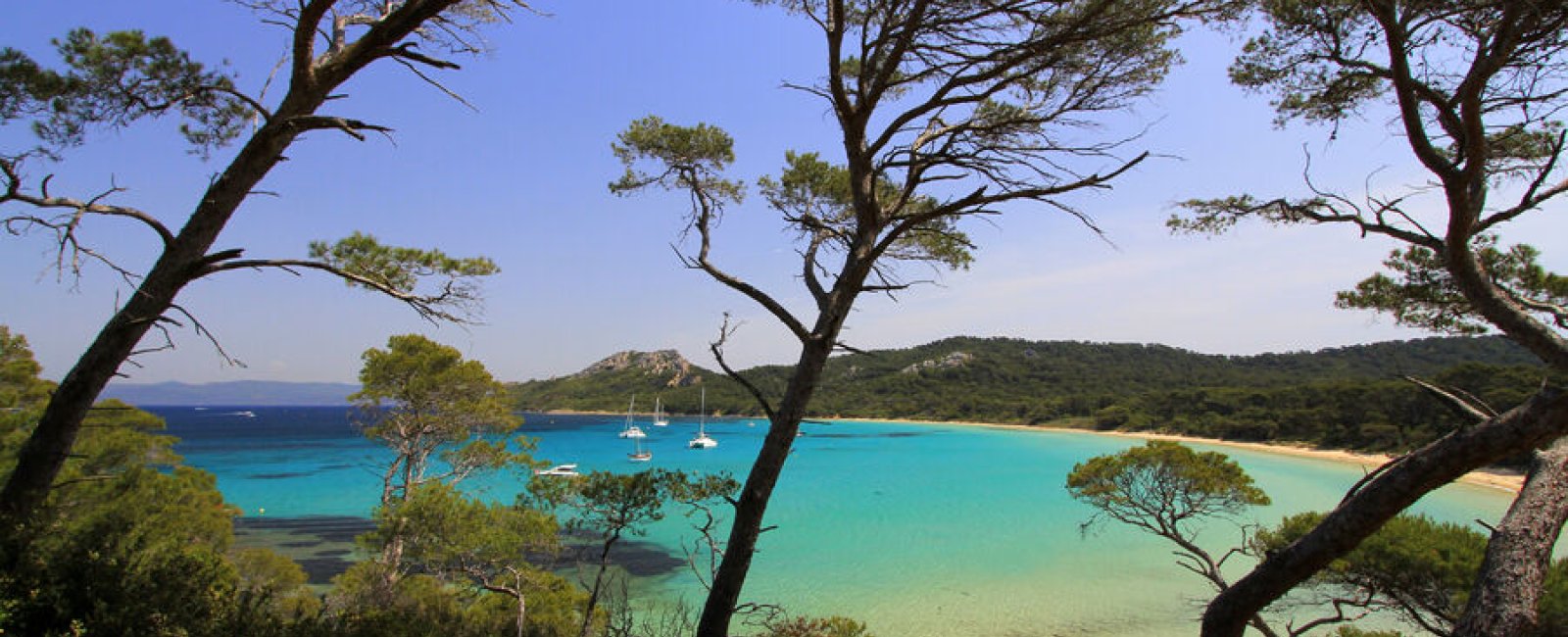 La plage Notre Dame - ile de porquerolles - hyeres