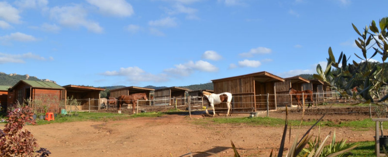 Reitzentrum Freizeit, Besitzerstall, Wettbewerbe in La Londe