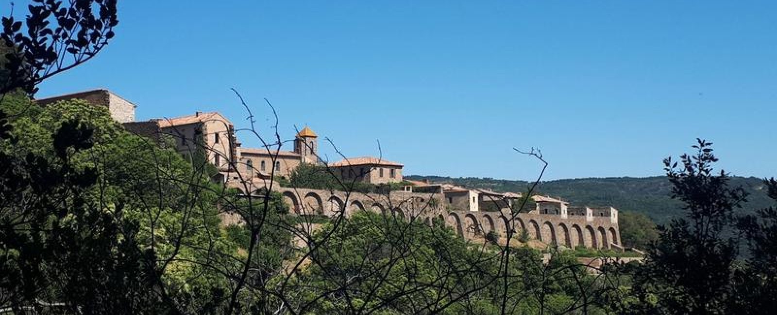 Vue de la chartreuse de côté à travers l'écrin de végétation