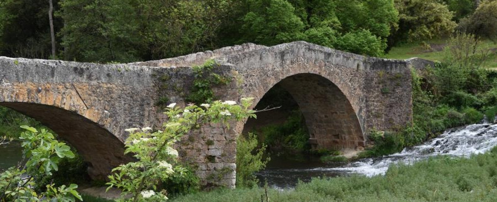 Pont en pierres avec 2 arcades entouré de végétation verdoyante et de la rivière du Caramy