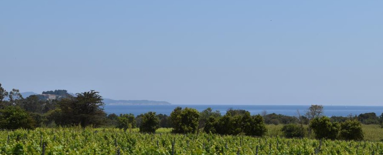 Vue sur le fort de Brégançon ainsi que la Pointe de la Galère Vue sur le fort de Brégançon ainsi que la Pointe de la Galère
