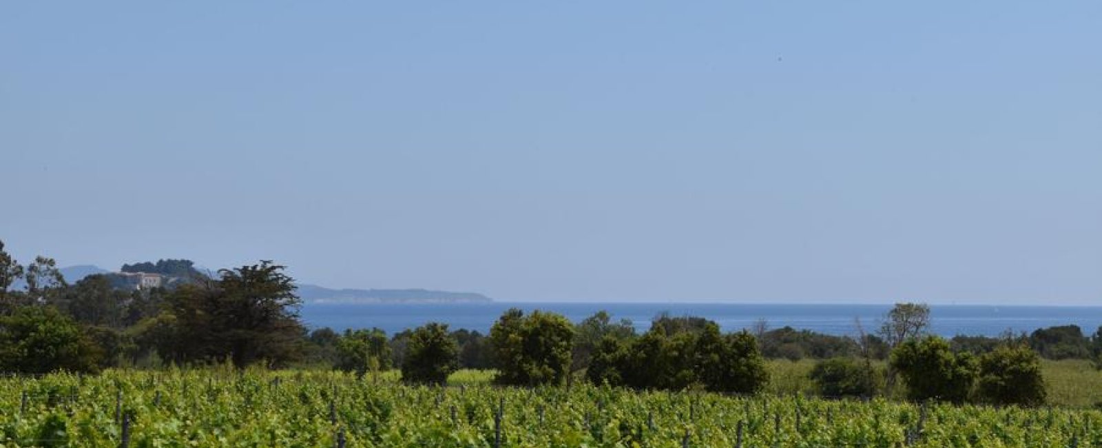 Vue sur le fort de Brégançon ainsi que la Pointe de la Galère
