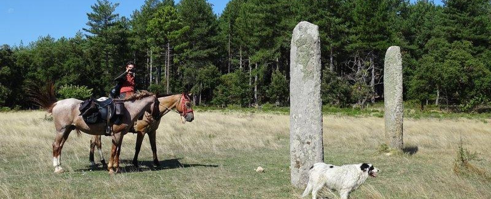 Menhirs des Lamberts Menhirs des Lamberts