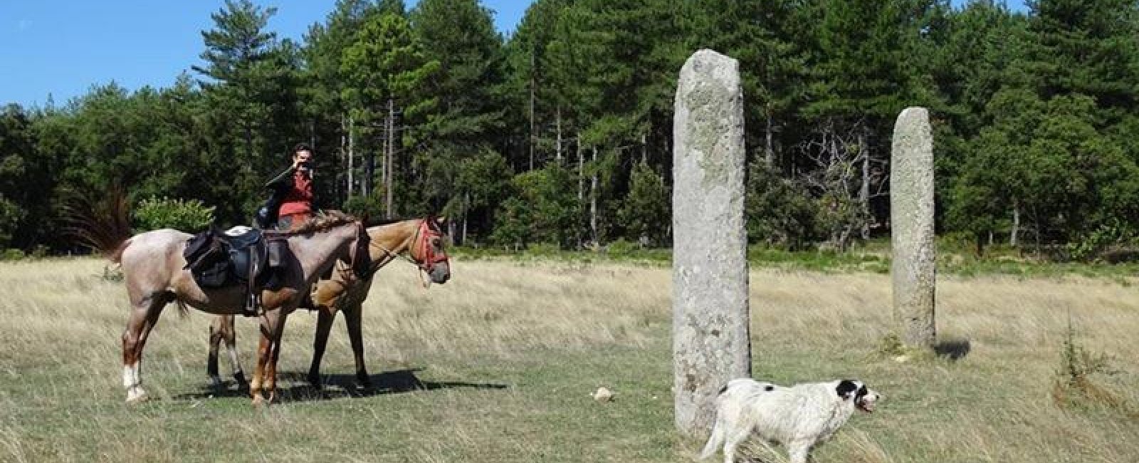 Cavalier et 2 chevaux à côté des menhirs des Lamberts au milieu d'une prairie