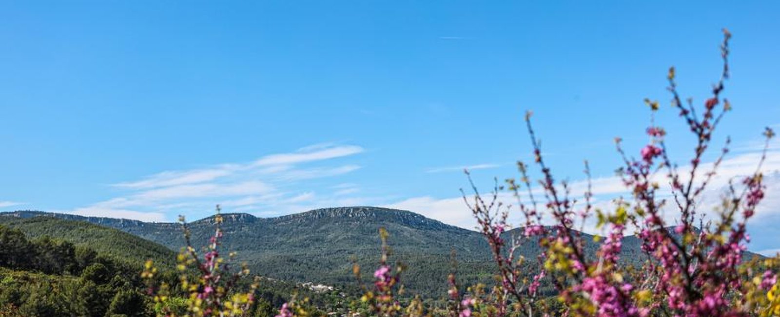 Baisse du Castellas_Pierrefeu-du-Var
