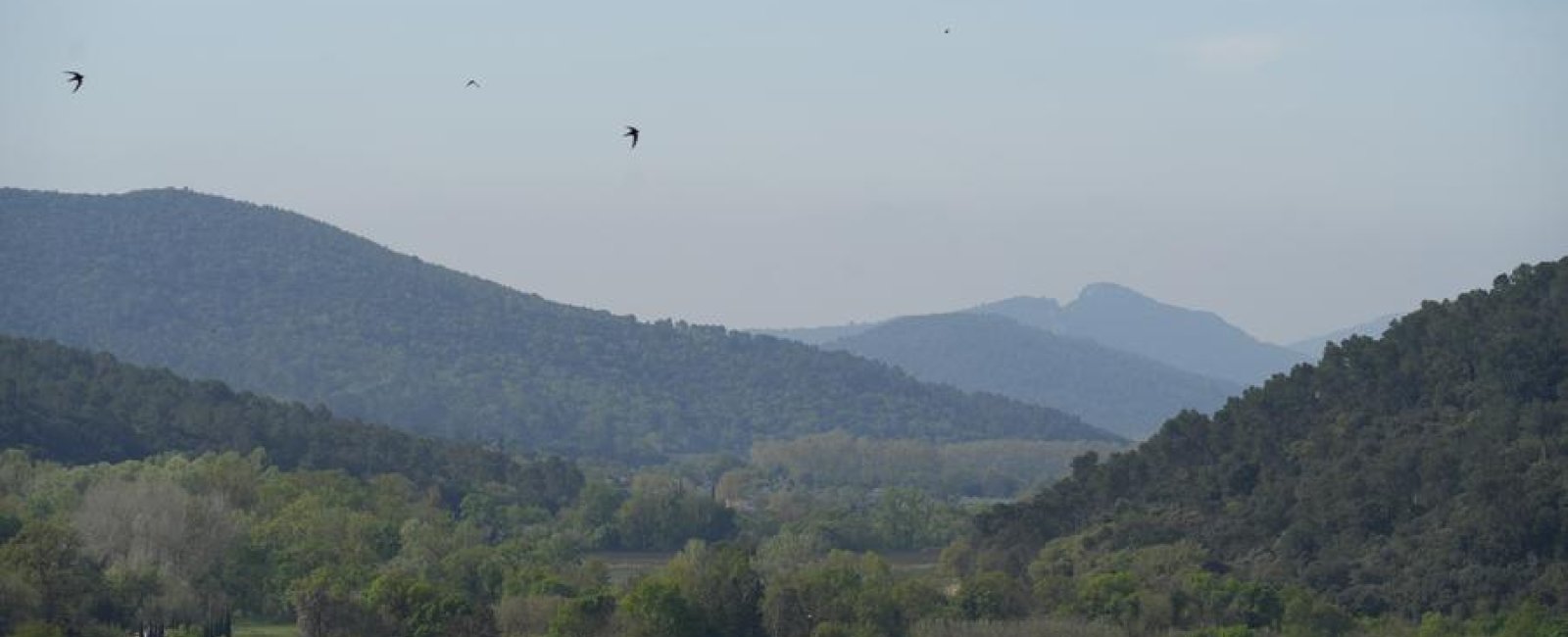 Les randonnées en Méditerranée Porte des Maures