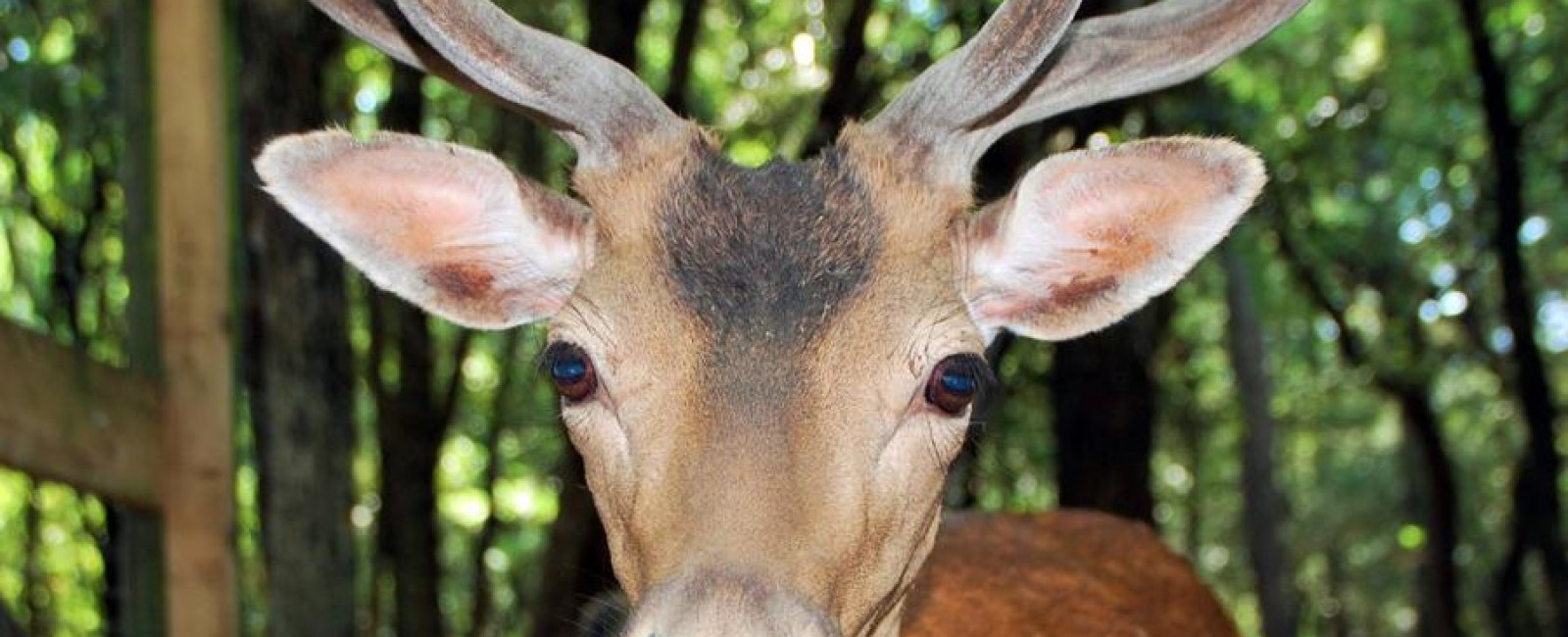 Aoubre, l'aventure nature_Flassans-sur-Issole