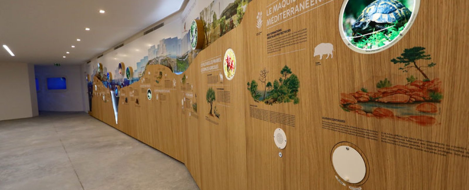 salle d'exposition