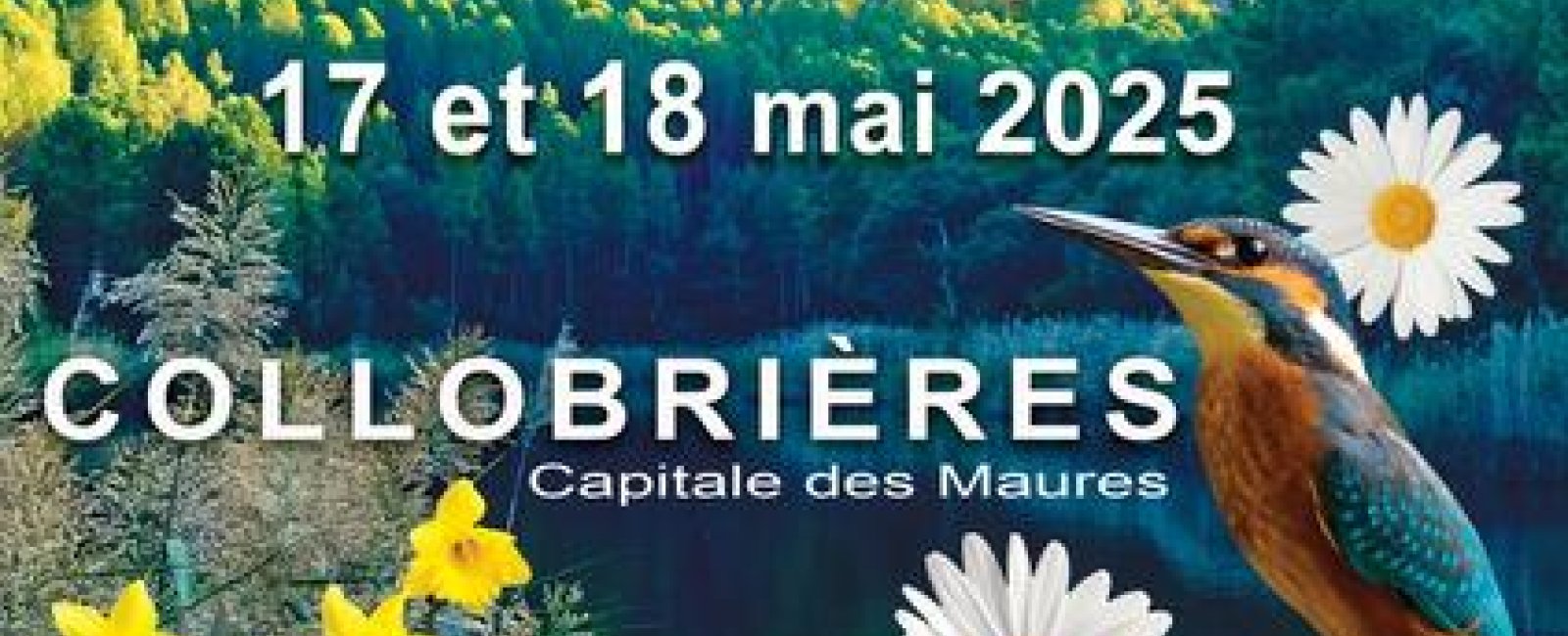 Festival de la Nature in Collobrières_Collobrières