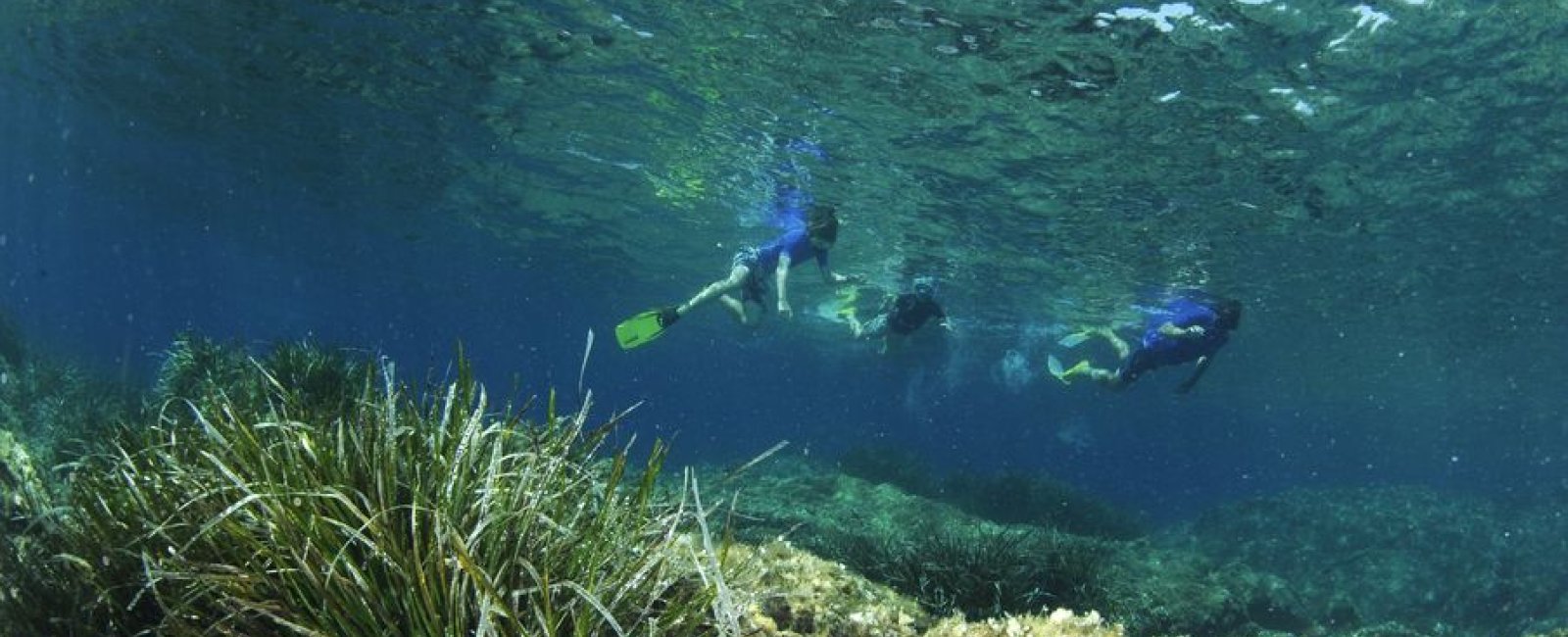 Unterwasserpfad