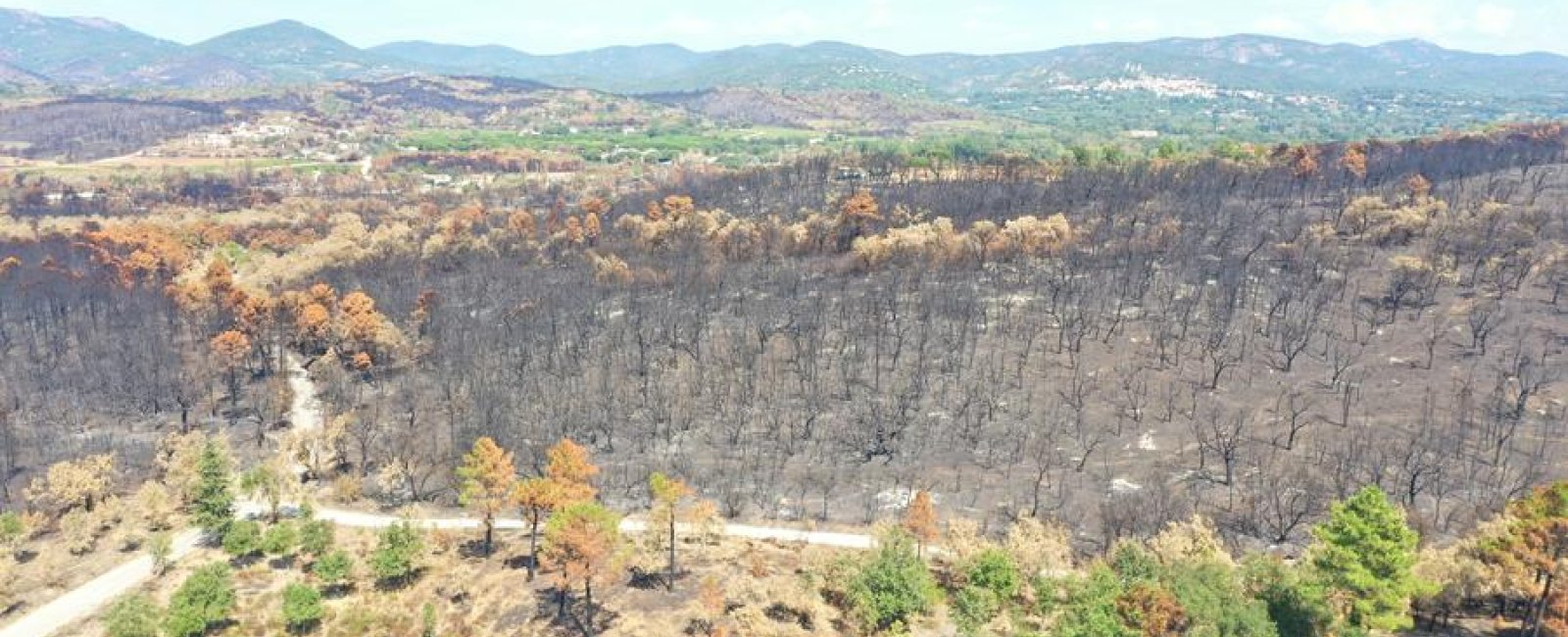 Environmental conferences in La Londe les Maures_La Londe-les-Maures