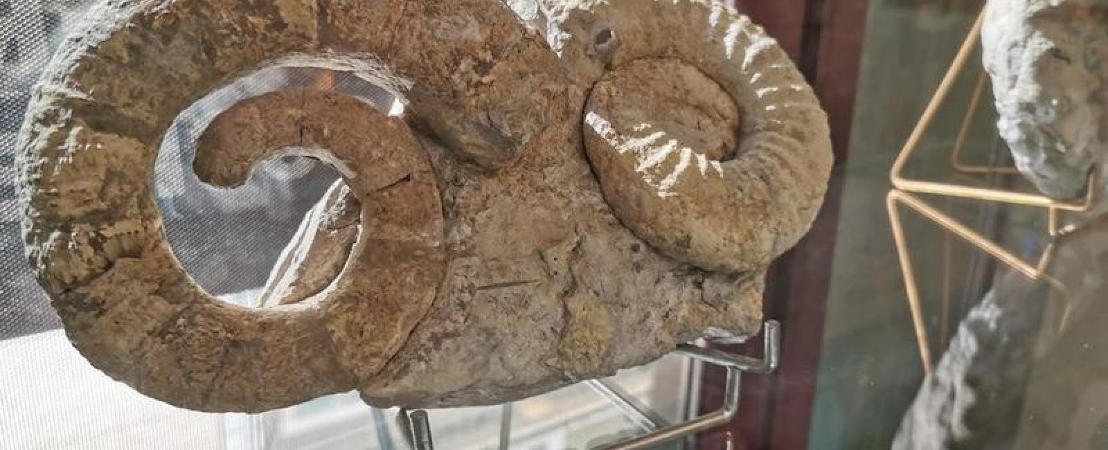 Journées portes ouvertes du musée géologique à Collobrières