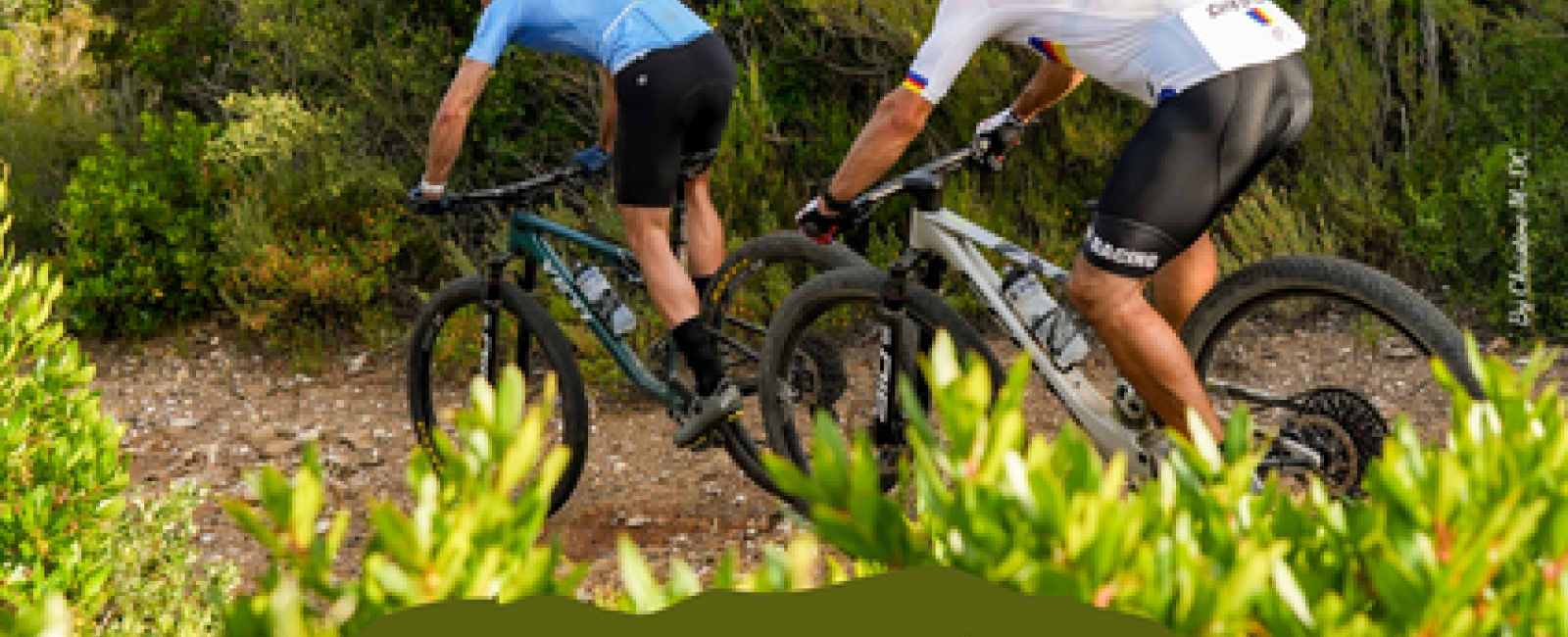 Mountain biking and walking : La Maurin des Maures_La Londe-les-Maures