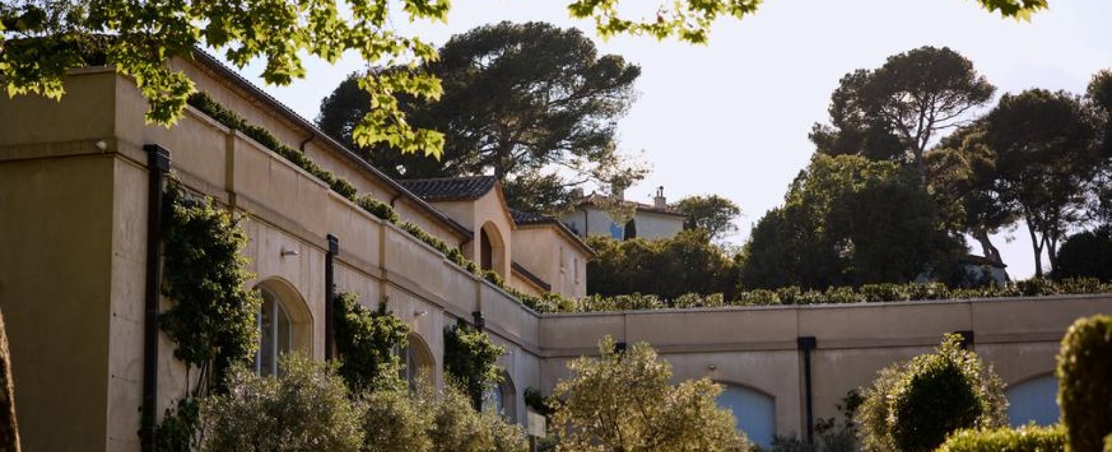Initiation à l'oenologie : Les Secrets du Vin_Bormes-les-Mimosas