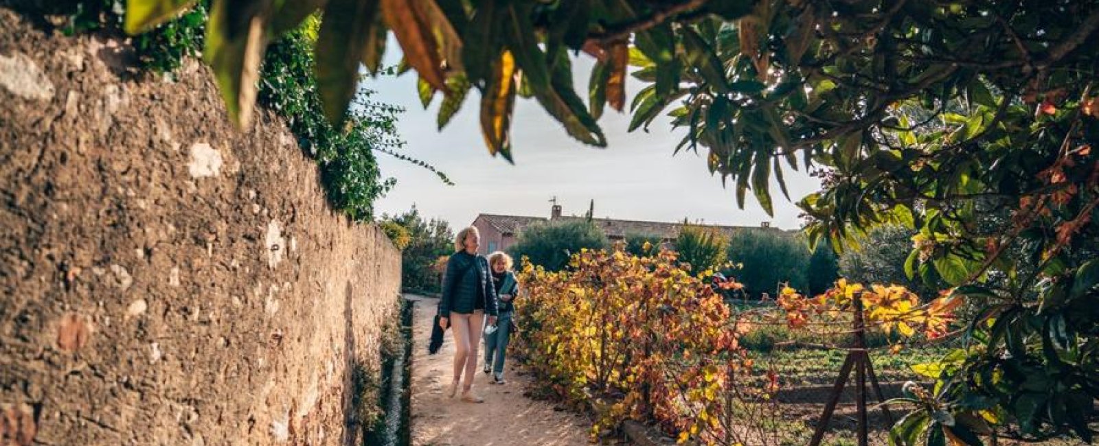 Balade gourmande à Ollioules_Ollioules