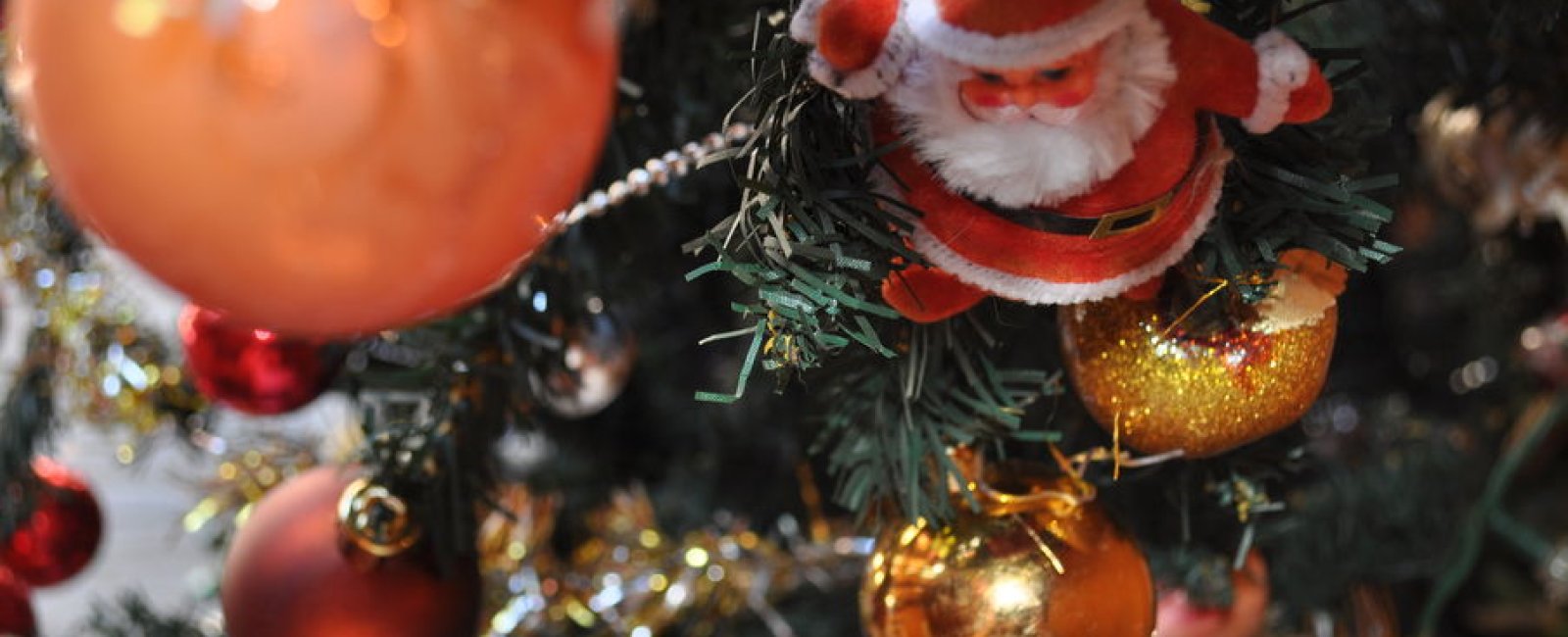 Les Festivités de Noël en Méditerranée Porte des Maures