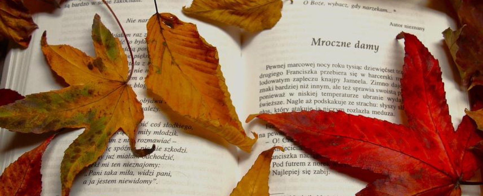 Sortir en Méditerranée Porte des Maures