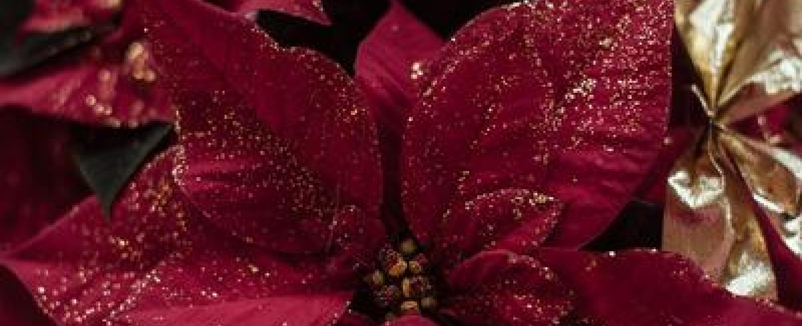 Atelier décoration de Noël à Figuière