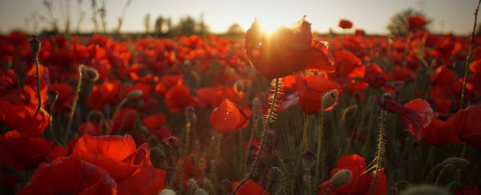 Sortir en Méditerranée Porte des Maures